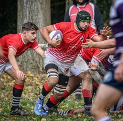 _nz86284.jpg - JPEG - 338.4 ko - 1024×1010 px