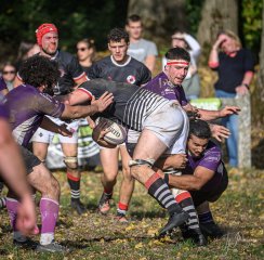 _nz86596.jpg - JPEG - 325.9 ko - 1024×1010 px