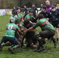 dsc_1913-3.jpg - JPEG - 186.6 ko - 2000×1333 px