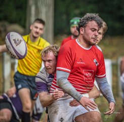 _nz86267.jpg - JPEG - 262.4 ko - 1024×1006 px