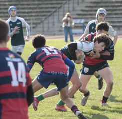 gp5f2034-2.jpg - JPEG - 531.1 ko - 2000×1961 px