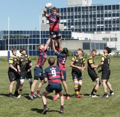 gp5f2314-2.jpg - JPEG - 843.1 ko - 2000×1936 px