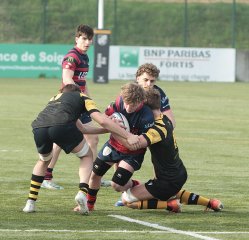 gp5f1158.jpg - JPEG - 502.6 ko - 2000×1935 px