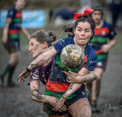 z63_7318.jpg - JPEG - 220 ko - 1024×984 px