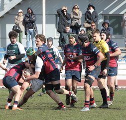 gp5f1725.jpg - JPEG - 690.9 ko - 2000×1904 px