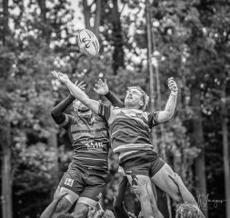 z63_4213.jpg - JPEG - 252.5 ko - 1024×973 px