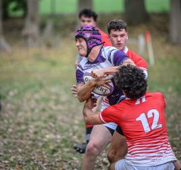 z63_5058.jpg - JPEG - 204.1 ko - 1024×965 px