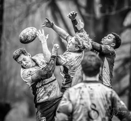 _nz87409-2.jpg - JPEG - 260.6 ko - 1024×953 px