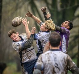 _nz87409.jpg - JPEG - 216.8 ko - 1024×953 px