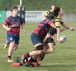 gp5f0894.jpg - JPEG - 533.2 ko - 2000×1860 px