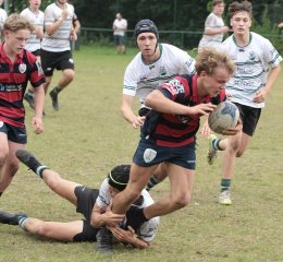 gp5f2102.jpg - JPEG - 534.8 ko - 2000×1847 px