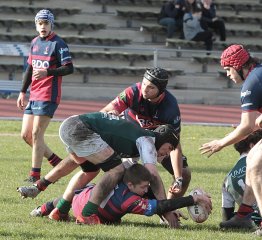 gp5f2095.jpg - JPEG - 602.7 ko - 2000×1836 px