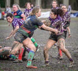 z63_7298.jpg - JPEG - 339.1 ko - 1024×937 px