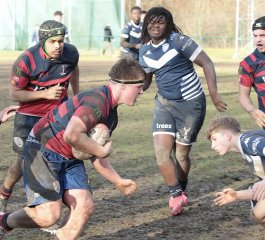 gp5f0396.jpg - JPEG - 560.2 ko - 2000×1812 px