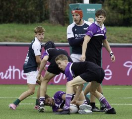 _46a2849.jpg - JPEG - 416.5 ko - 2000×1811 px