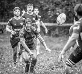 _nz85733.jpg - JPEG - 285.3 ko - 1024×926 px