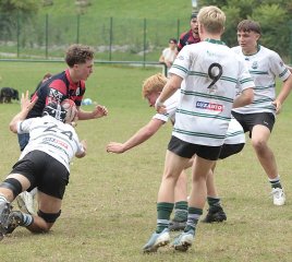 gp5f1585.jpg - JPEG - 589.4 ko - 2000×1794 px