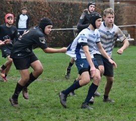 dsc_4231-4.jpg - JPEG - 221.5 ko - 2000×1333 px