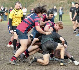 gp5f6863-2.jpg - JPEG - 611.1 ko - 2000×1783 px