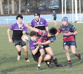 gp5f8617.jpg - JPEG - 602.5 ko - 2000×1776 px