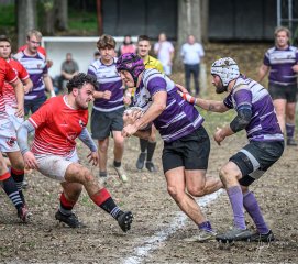 z63_5117.jpg - JPEG - 337.9 ko - 1024×910 px