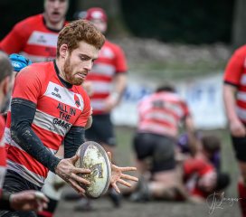 _nz87831.jpg - JPEG - 206.6 ko - 1024×904 px