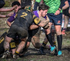 _nz88094.jpg - JPEG - 297.6 ko - 1024×906 px