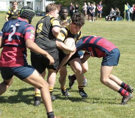 gp5f2531.jpg - JPEG - 842.6 ko - 2000×1763 px