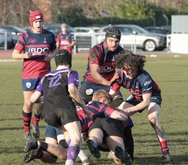 gp5f8412.jpg - JPEG - 538.6 ko - 2000×1763 px