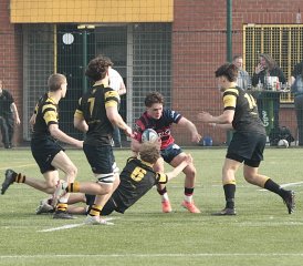 gp5f0964-2.jpg - JPEG - 582.6 ko - 2000×1754 px