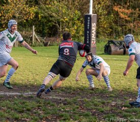 dsc08597.jpg - JPEG - 984.6 ko - 2000×1746 px