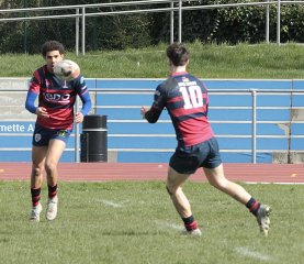 gp5f1687.jpg - JPEG - 611.1 ko - 2000×1738 px