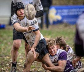 _nz86019.jpg - JPEG - 208.9 ko - 1024×878 px