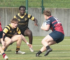 gp5f0898.jpg - JPEG - 503.4 ko - 2000×1714 px