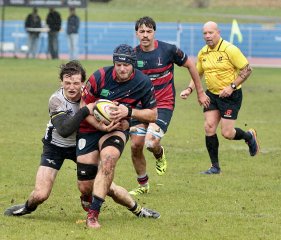 gp5f5141.jpg - JPEG - 605 ko - 2000×1711 px