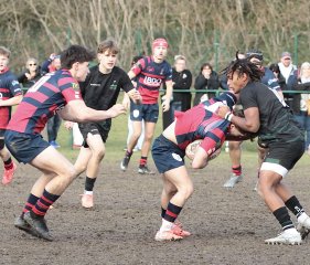 gp5f6854.jpg - JPEG - 596 ko - 2000×1711 px