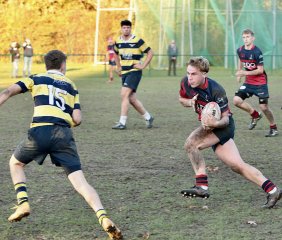 gp5f6398.jpg - JPEG - 587.3 ko - 2000×1703 px