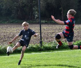 dsc_3180-2.jpg - JPEG - 303.8 ko - 2000×1325 px