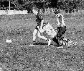 dsc06274.jpg - JPEG - 587.4 ko - 1500×1264 px