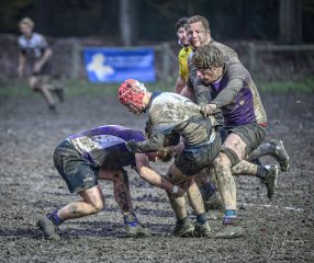 z63_6532.jpg - JPEG - 291.3 ko - 1024×861 px