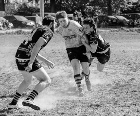 dsc06243.jpg - JPEG - 524.5 ko - 1500×1250 px