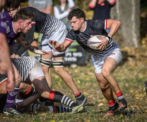 _nz86598.jpg - JPEG - 284.4 ko - 1024×852 px