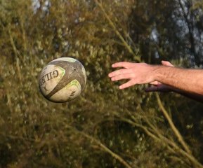 dsc_4116.jpg - JPEG - 264.2 ko - 1500×1248 px