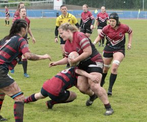 gp5f8292.jpg - JPEG - 727.6 ko - 2000×1664 px