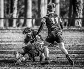 _nz87924.jpg - JPEG - 274.6 ko - 1024×842 px