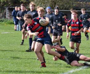 dsc_3172.jpg - JPEG - 262.4 ko - 2000×1325 px