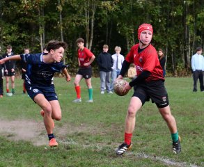 dsc_3729-3.jpg - JPEG - 228.7 ko - 2000×1325 px