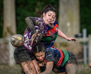 _nz88585.jpg - JPEG - 198.1 ko - 1024×837 px