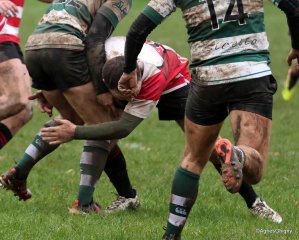 45-bj8a3912.jpg - JPEG - 286.2 ko - 1500×1205 px