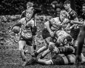 _nz87332.jpg - JPEG - 267.9 ko - 1024×822 px